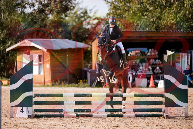 2026_10_03_Siefer-Hof_154324_Z81_61350201 | Professionelle Reitsport-, Turnier- und Eventfotografie von Robert Broda. Galerien mit ausgewählten und bearbeiteten Bildern direkt online ansehen und bestellen.