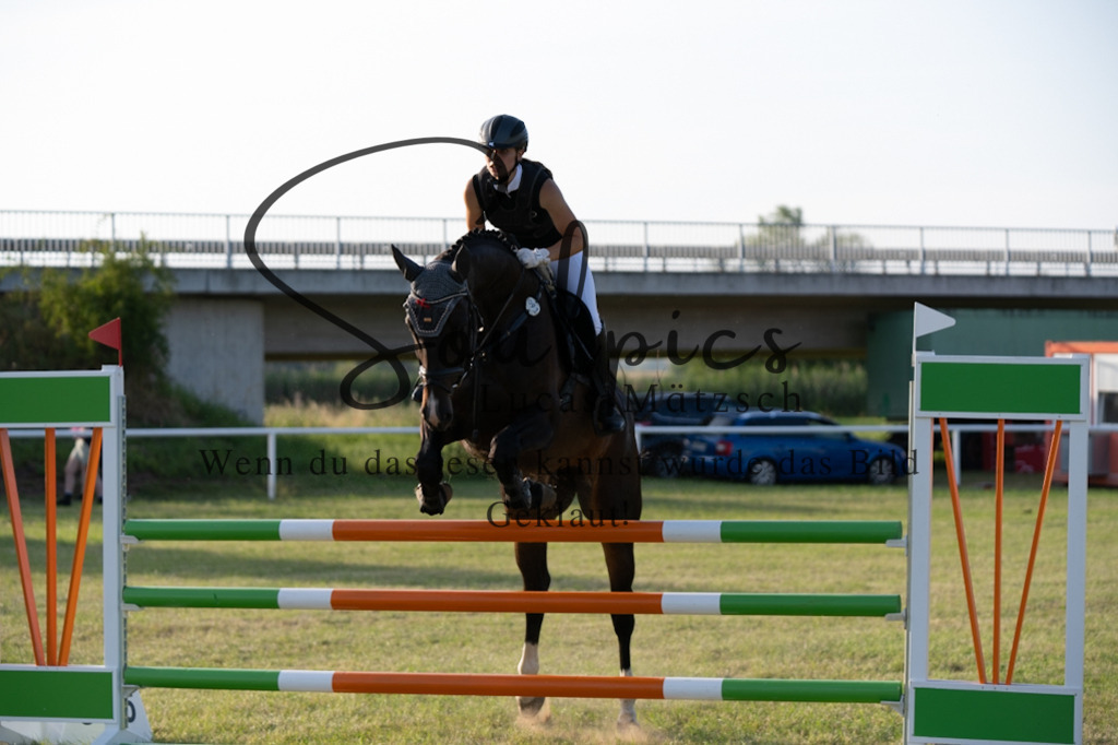 A7V01010 | Pferdefotograf