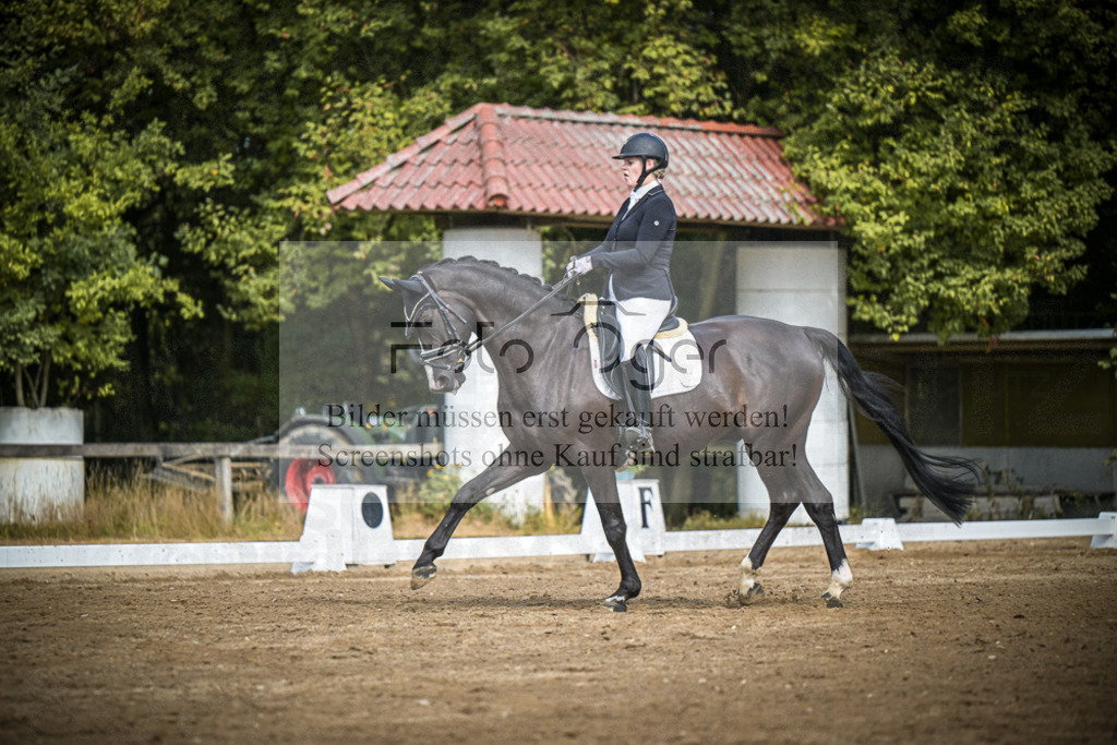 DOS_0189 | Entdecke hochwertige Reitturnierfotos von Foto Oger. Professionell, emotional und authentisch – jetzt Lieblingsmomente im Shop bestellen.Deutschlandweite Turnierfotografie. - Realisiert mit Pictrs.com