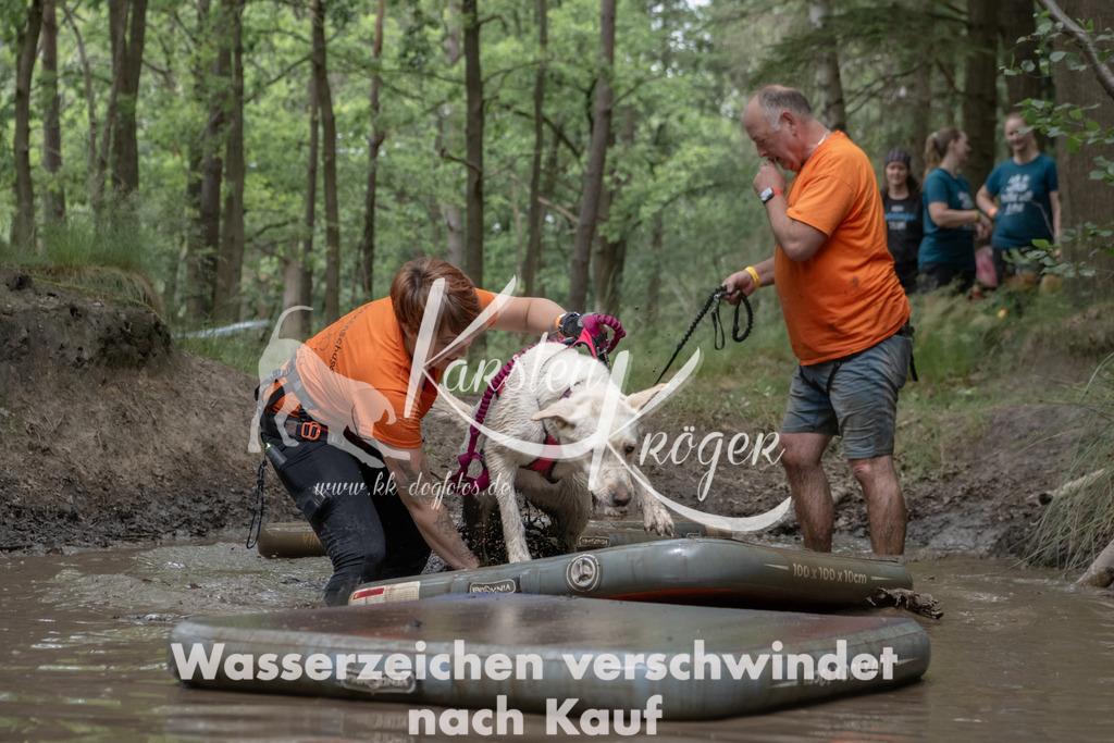 1346_ZZ95806 | kk-dogfotos