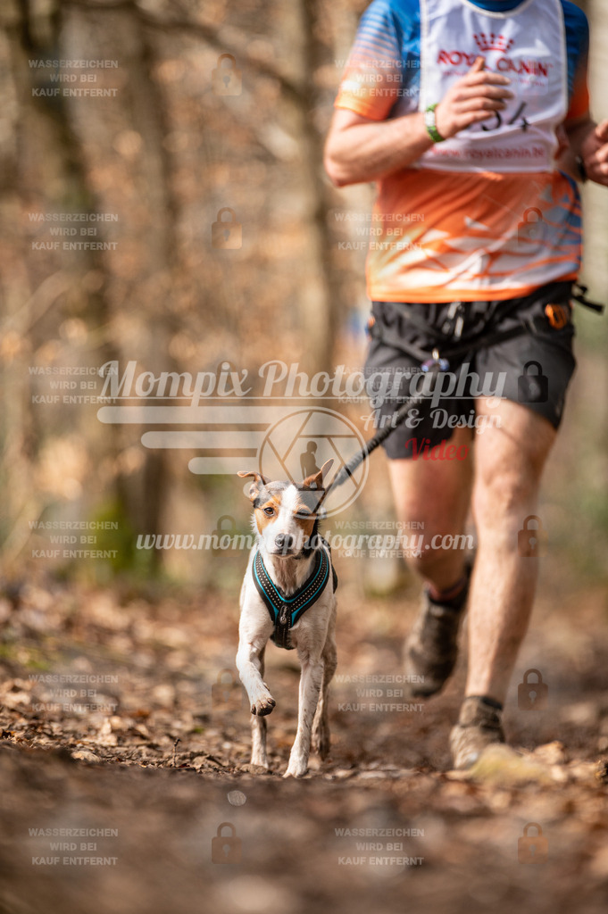 SPA_2023_DIM_CCK-195 | PayLife