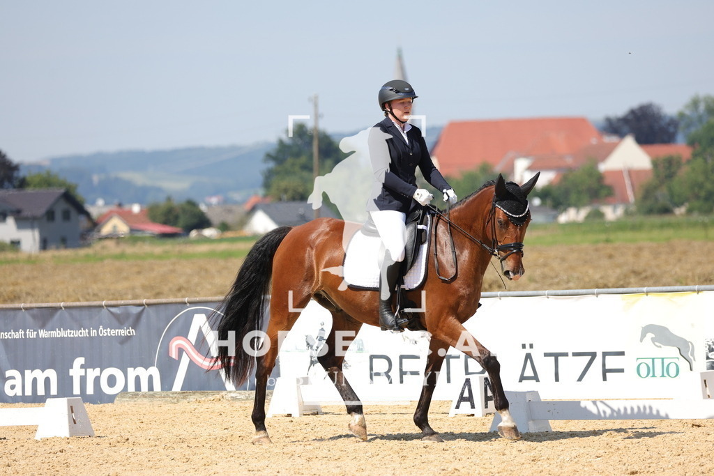 0P6A1245 | Willkommen bei Brunnmayr - Design & Fotografie – Ihrem Spezialisten für Reitturniere und Pferdeveranstaltungen in Oberösterreich, Salzburg und Bayern! Seit über 17 Jahren sind wir leidenschaftlich dabei.