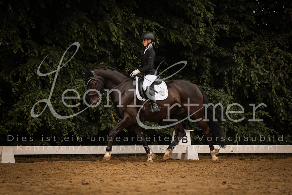 DoDrA00381 | Leoni Ertmer Photography - Realisiert mit Pictrs.com