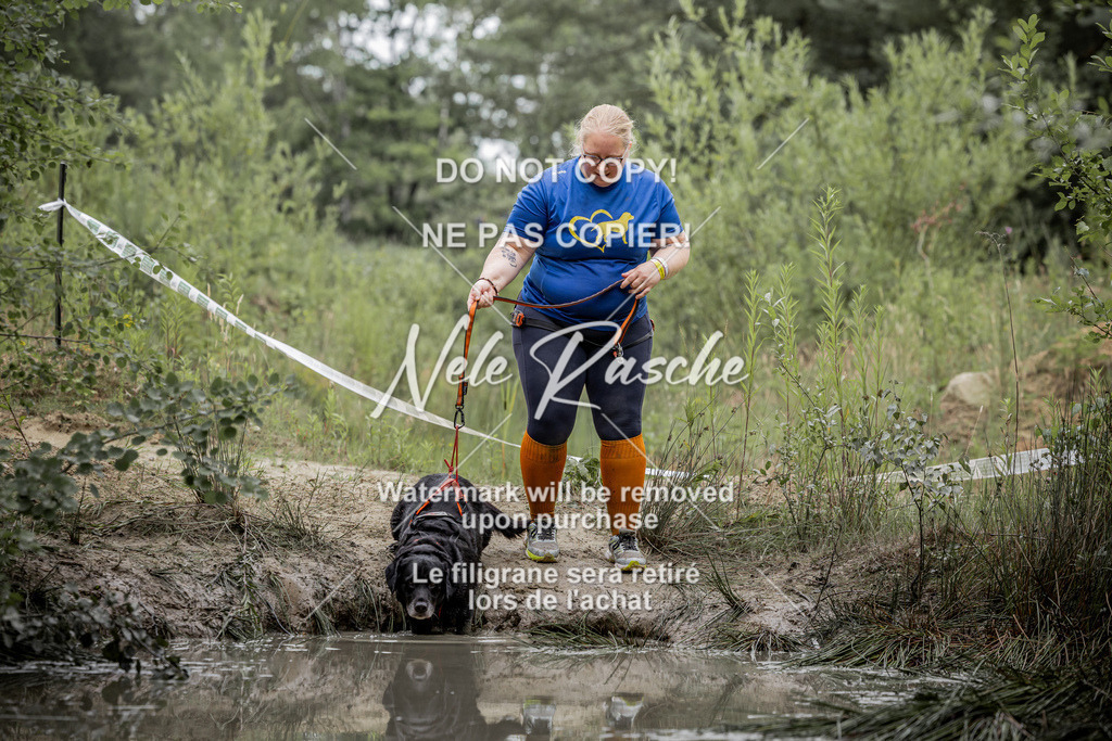 nelerasche_so0930-1000_337 | nelerasche