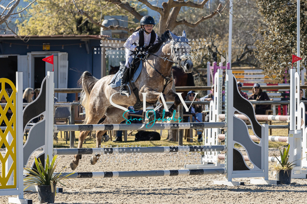 IMG_1426 | s-jay-photography - Realisiert mit Pictrs.com