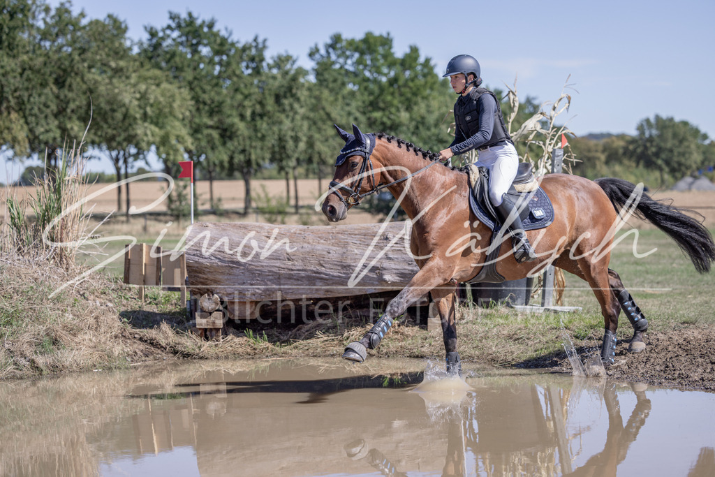 20260906-_3LI3812 | Tierfotografie Pferde, Hunde, Katzen, Haustiere.
Turnierfotografie Reitturniere, Reiten, Springreiten, Dressur in Hanau, dem Main-Kinzig-Kreis und dem Rhein-Main- Gebiet um Frankfurt