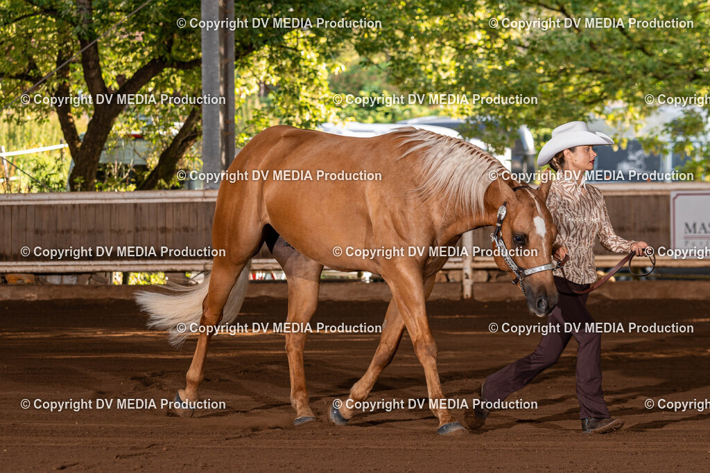 Erbach Tag 3-43 | dv-media-shop - Realisiert mit Pictrs.com