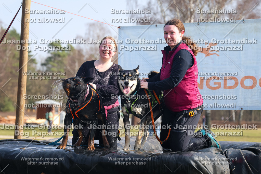 Dog Paparazzi - Strongdog North Mrz26-1676 | Dog Paparazzi Jeanette Grottendiek Fotografie & Videografie - Realisiert mit Pictrs.com