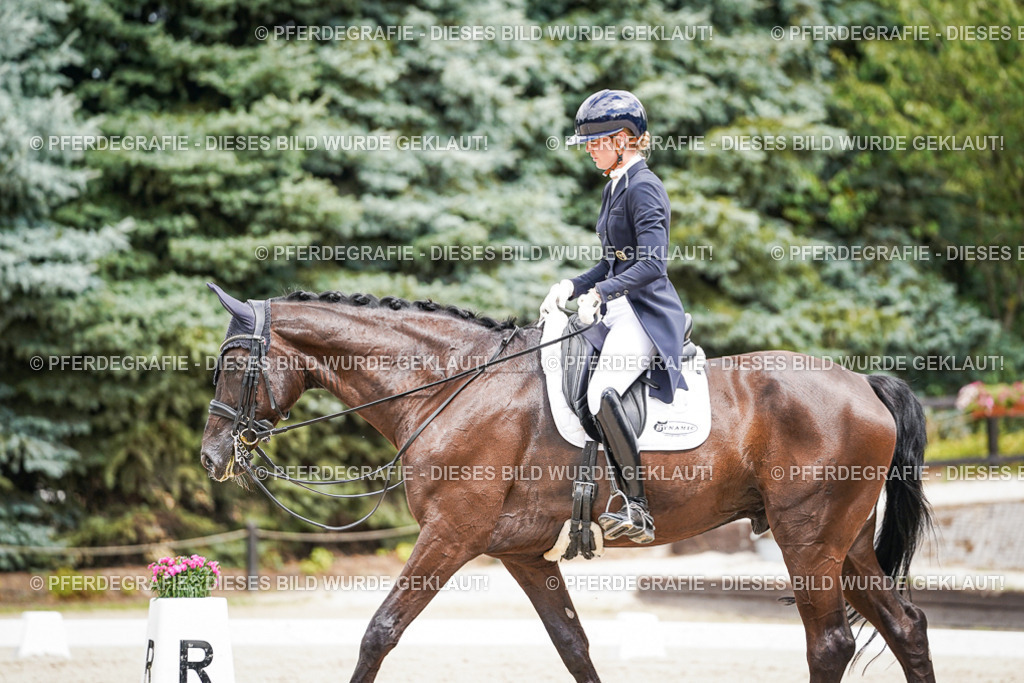 DSC06127 | Pferdegrafie