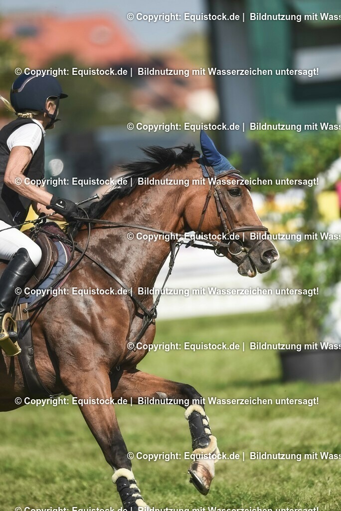 20230909_22_Springen_M_0158 | Foto: Thomas Hartig