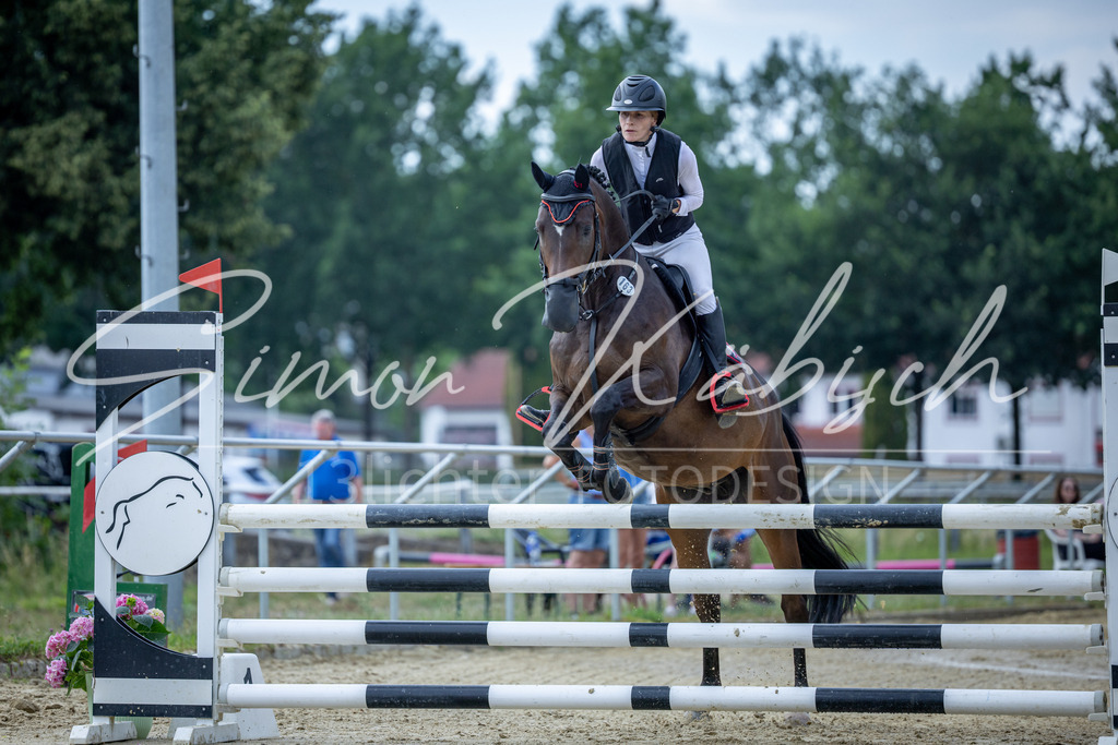 20260704-_3LI1322 | Tierfotografie Pferde, Hunde, Katzen, Haustiere.
Turnierfotografie Reitturniere, Reiten, Springreiten, Dressur in Hanau, dem Main-Kinzig-Kreis und dem Rhein-Main- Gebiet um Frankfurt