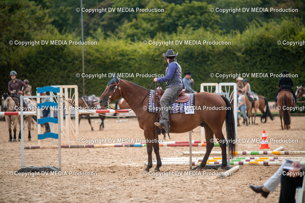 ZS2_7856 | dv-media-shop - Realisiert mit Pictrs.com