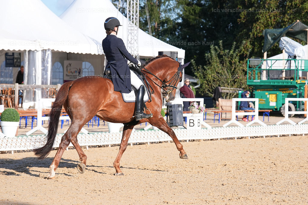 09_1-143-DRESSUR  S_  -Marixx-5664 | working equitationturnier fotograf videograf stoibphotography marixx film working equitation deutschland reitsport turnierfotografie eventfotografie equestrian events