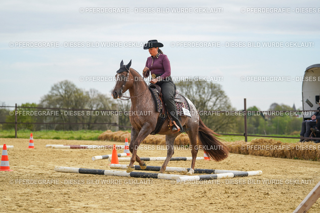 DSC03499 | Pferdegrafie