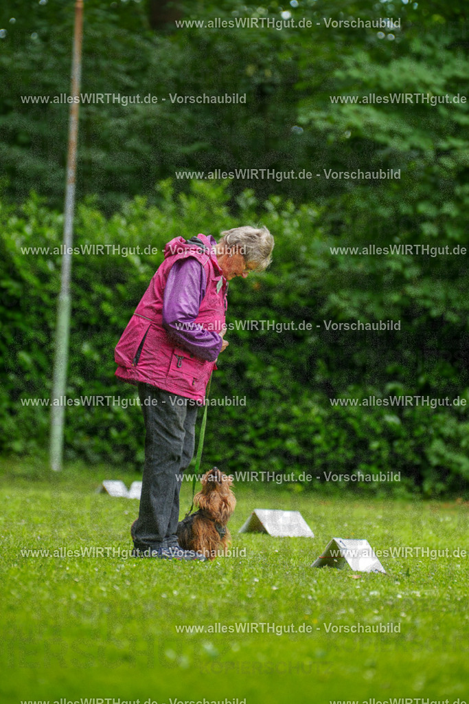 @allesWIRTHgut_Tierfotografie - www.allesWIRTHgut.de - 130602-7R509755 | Professionelle Tierfotografie in Mönchengladbach von Daniel Wirth (allesWIRTHgut). Liebevolle & natürliche Bilder von Hunden & Katzen für unvergessliche Erinnerungen.
