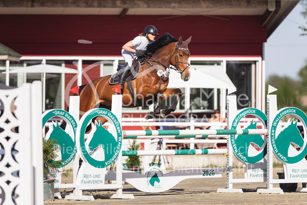 260501_Spenge_12_SprPf-M-617 | Deine schönsten Turniermomente als professionelle Fotos! Entdecke hochwertige Pferdesport-Fotografie im Online-Shop. Jetzt Fotos finden & bestellen!