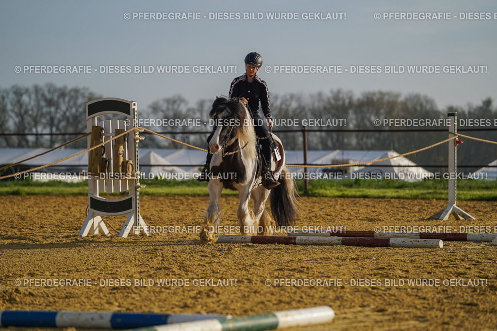 DSC00226 | Pferdegrafie