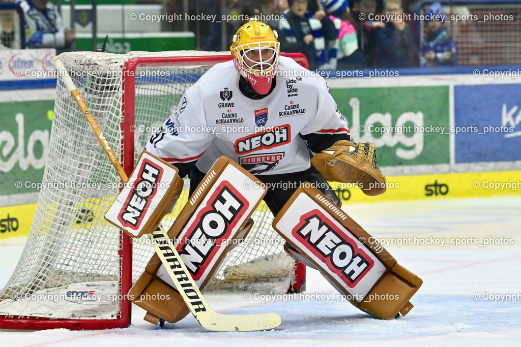 EC IDM Wärmepumpen VSV vs. Pioneers Vorarlberg | #31 David Madlener Pioneers Vorarlberg,  EC IDM Wärmepumpen VSV vs. Pioneers Vorarlberg, EC IDM WÄRMEPUMPEN VSV vs. Pioneers Vorarlberg am 03.10.2025 in Villach (Stadthalle Villach), Austria, (Photo by Bernd Stefan)