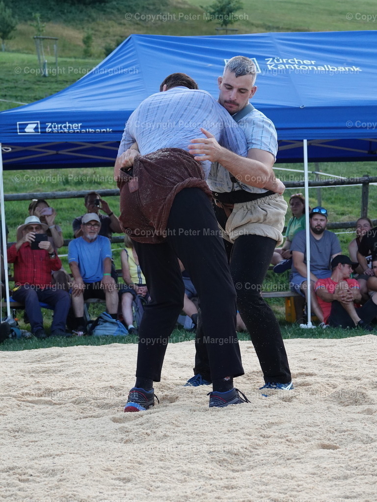 DSC05205 | Schwingen - Realisiert mit Pictrs.com