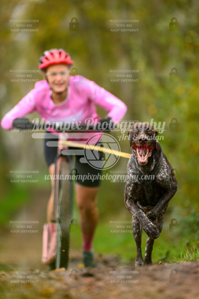 MompixPhotography_20TSB_E6_DS1-58 | PayLife