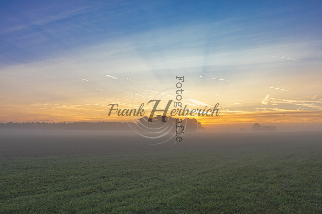 2023_09_27_9999_9 bea | Frank Herberich Fotografie, Frank Herberich, Fotografie, Hochzeit, Portrait, St. Peter Ording, Ording, Westerhever, Nordsee, Frank Fotografie, Hardheim,  Odenwald,Walldürn, Band,Eventfotografie - Realisiert mit Pictrs.com
