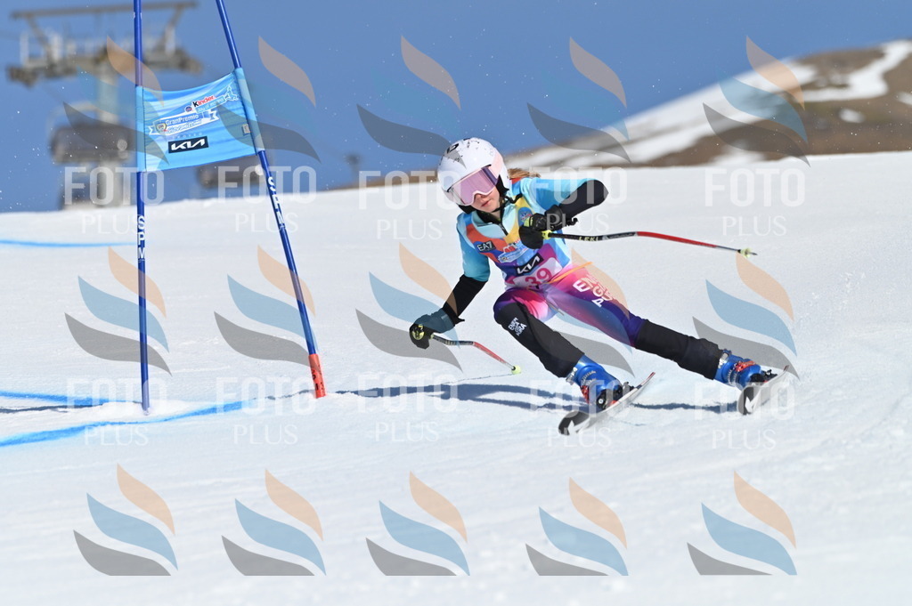 BGV_8334 | holidayphoto