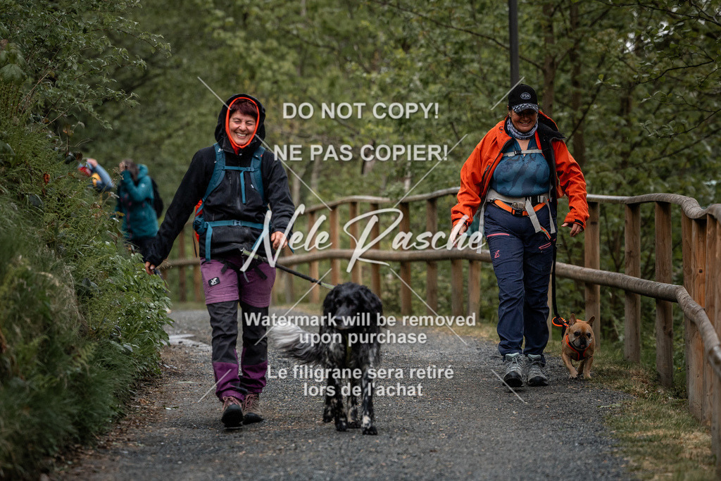 nelerasche_SaAbends_288 | nelerasche