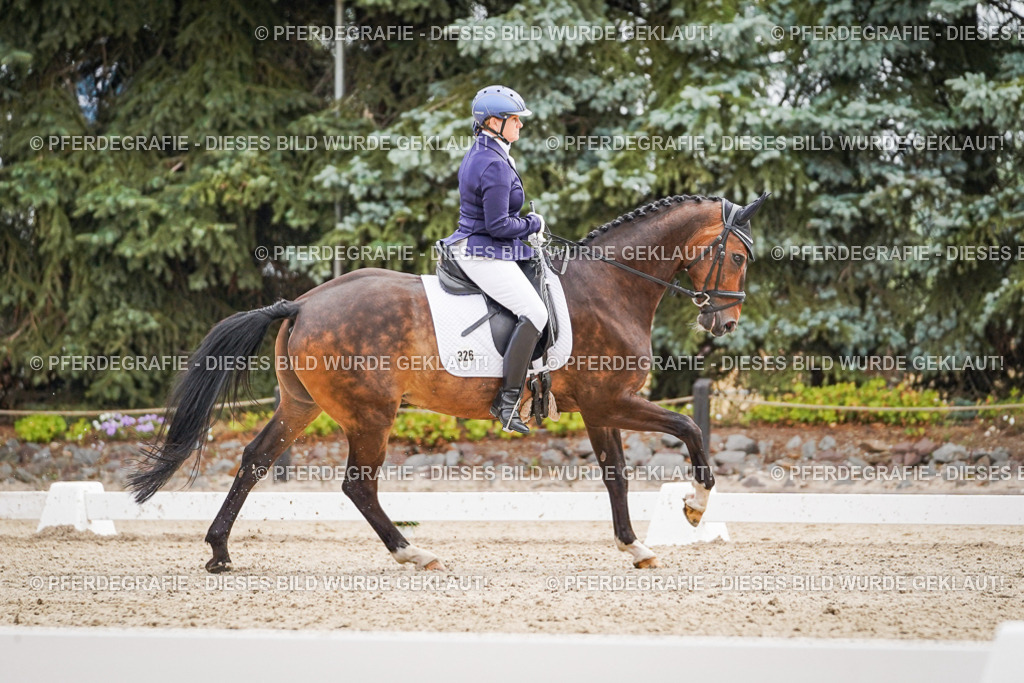 DSC02027 | Pferdegrafie