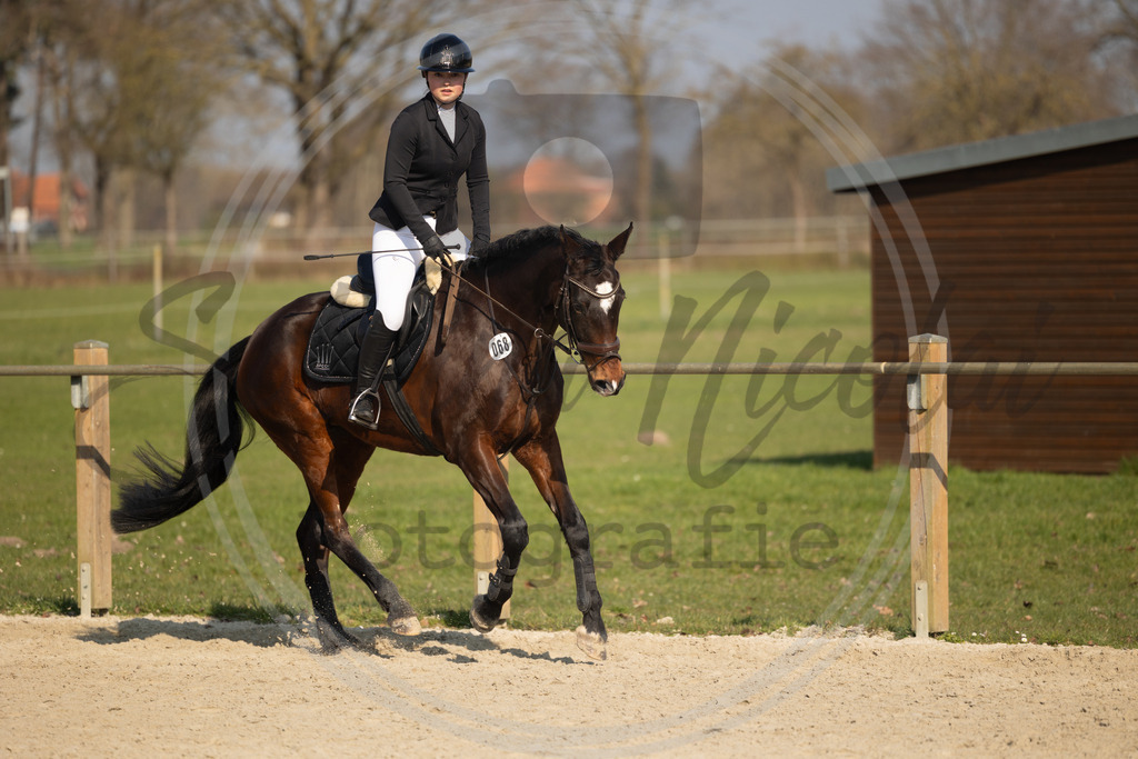 994A9731 | sabrinanicolaifotografie - Realisiert mit Pictrs.com