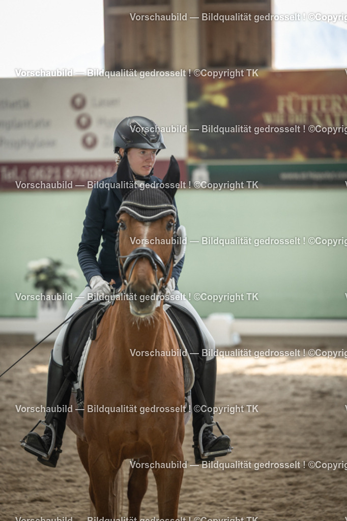 _D5A5842 | Emotionale Pferde- & People-Fotografie rund um Heidelberg, Leimen & Umgebung. Natürliche Fotos von Pferd, Mensch & Familie. Jetzt Termin sichern!