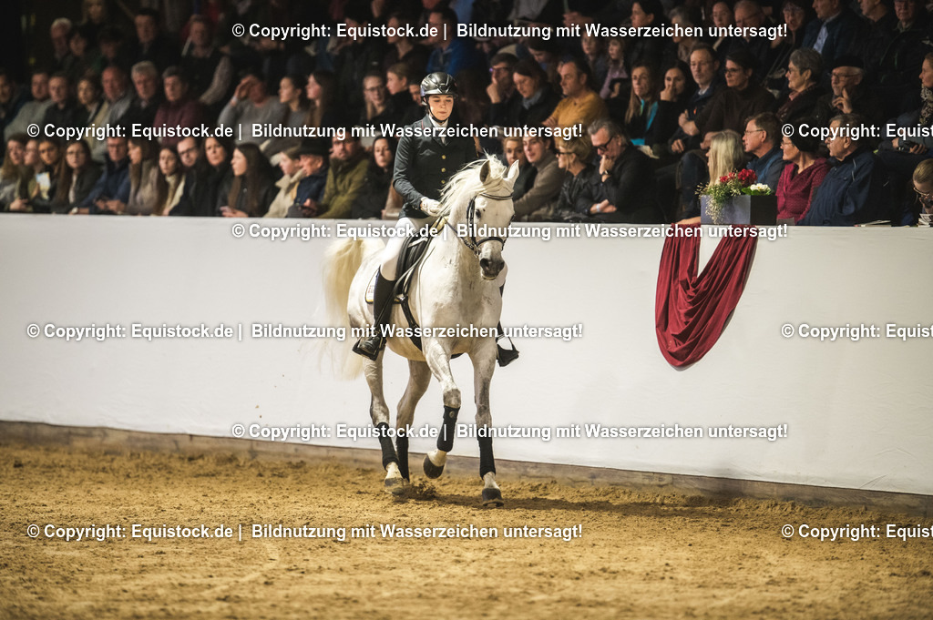 20240302_Hengstvorstellung_Marbach_TOMsPiC_1033-2 | equistock