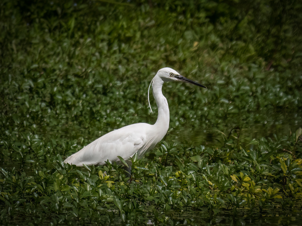 P1477384-Bearbeitet-2020-LR | Natur im Moment - Realisiert mit Pictrs.com