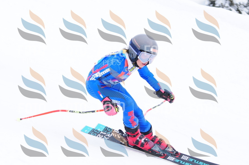 C4316 | holidayphoto