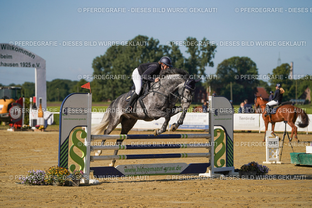 DSC04813 | Pferdegrafie