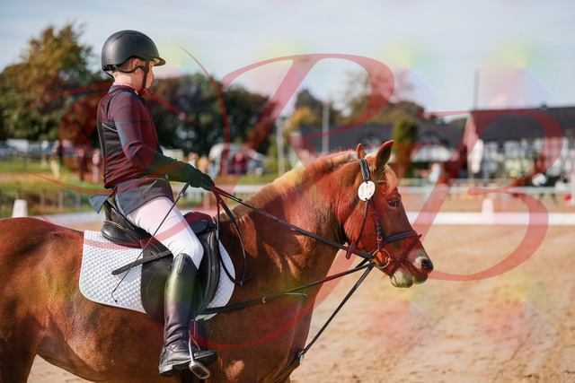 2026_10_03_Siefer-Hof_120200_Z63_34935749 | Professionelle Reitsport-, Turnier- und Eventfotografie von Robert Broda. Galerien mit ausgewählten und bearbeiteten Bildern direkt online ansehen und bestellen.