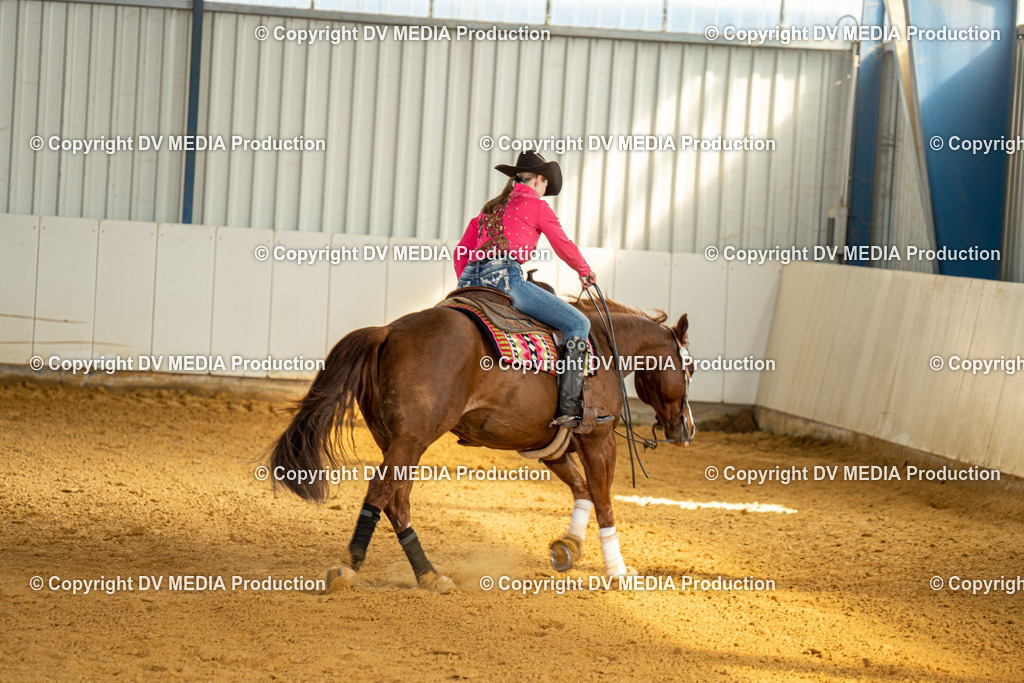 MIT00891 | dv-media-shop - Realisiert mit Pictrs.com