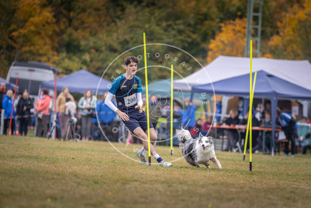 Pfotenfotografie_DV3A1219 | Hundefotografie, Tierfotograf, Pfotenfotografie, Fotoshooting Hund, Hunde Portrait, Hundesport, Hundeportraits, Heideshooting, Hunde, Sportfotograf, Hundefotograf, Turnierhundsport, THS,  - Realisiert mit Pictrs.com