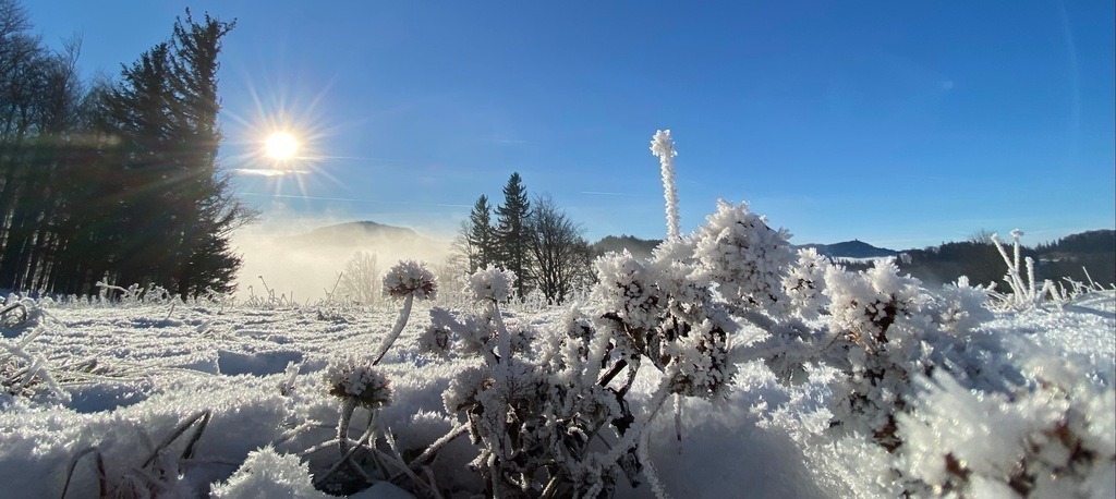 Schneelandschaft Ebenwald | BILDER AN DIE WAND                                                verschönern sie ihr Büro, ihre Praxis oder ihre viel Wände zu Haus  - Realisiert mit Pictrs.com