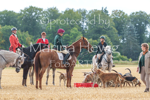 Jagd Knoop 26_MarinaHewigMCH02660 | Fotografie, FotoArt, PferdesportArt, Pferdesportfotografie, Landschaftsfotografie, Reisefotografie, Reise, Pferde - Realisiert mit Pictrs.com