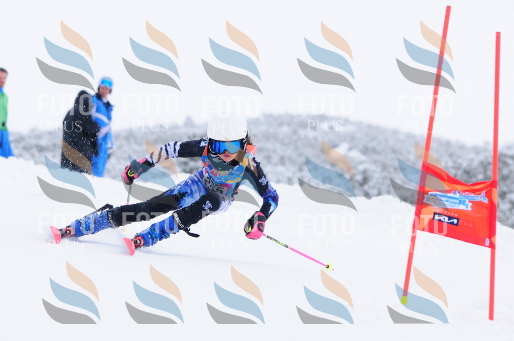 C2685 | holidayphoto