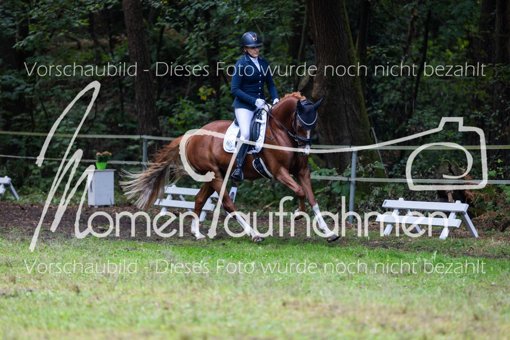 HB-A-Dressur-158 | MomenTaufnahmen Pferdesportfotos