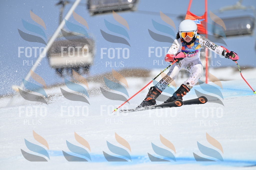 BGV_9947 | holidayphoto