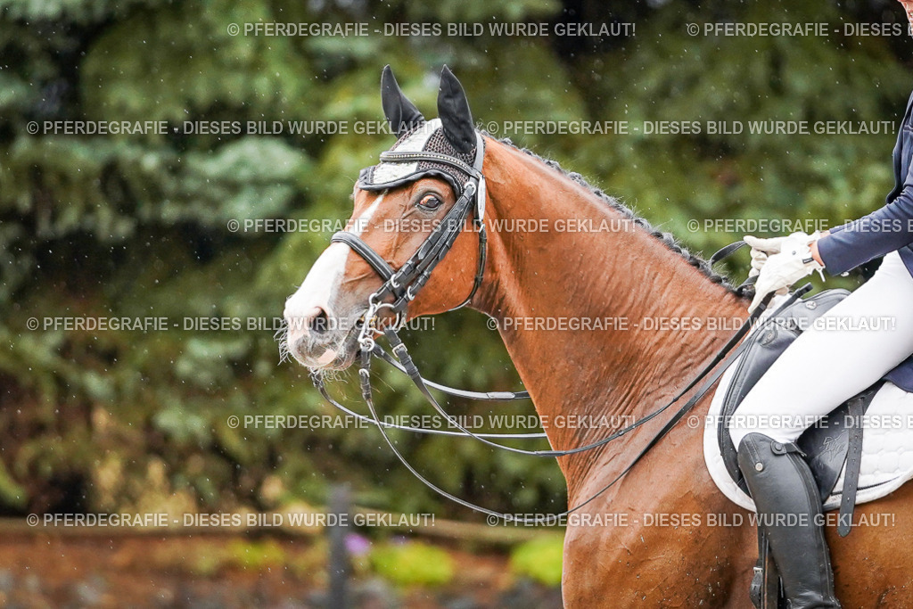 DSC08705 | Pferdegrafie