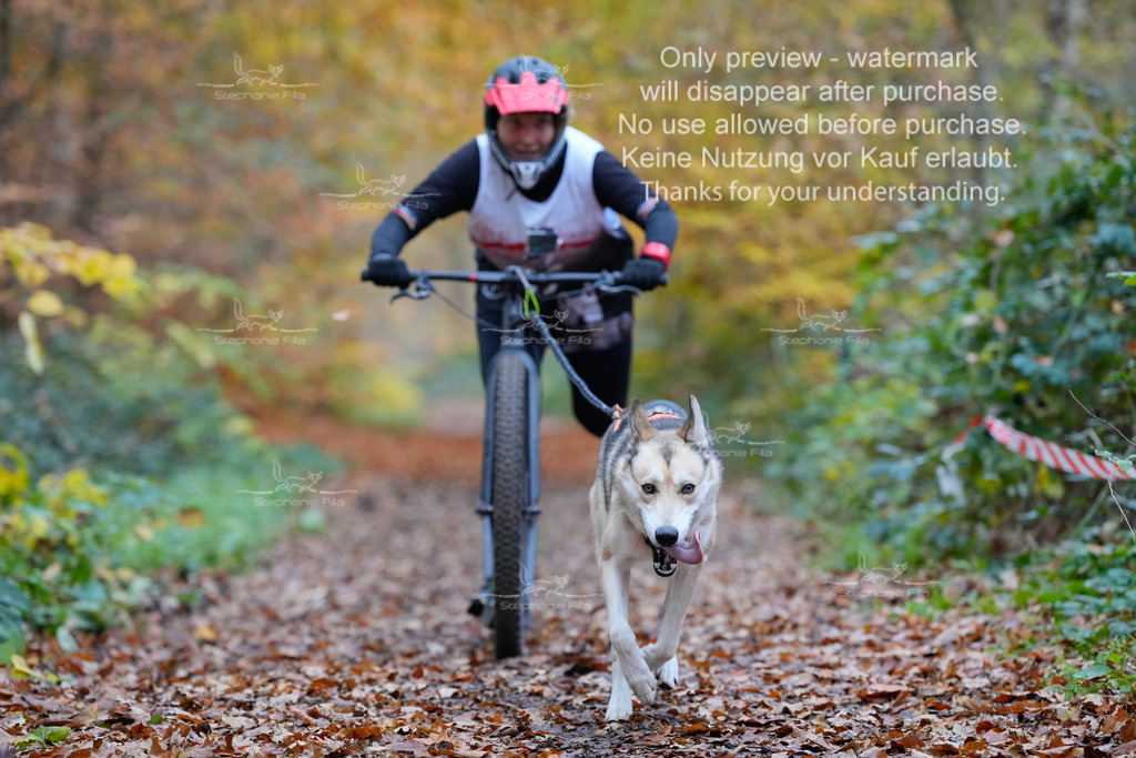 Scooter_So-47 | stephaniefillaphotographie - Realisiert mit Pictrs.com