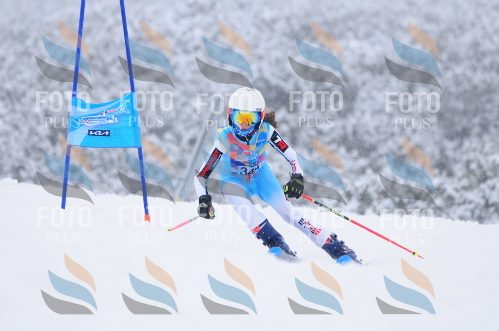 C3685 | holidayphoto