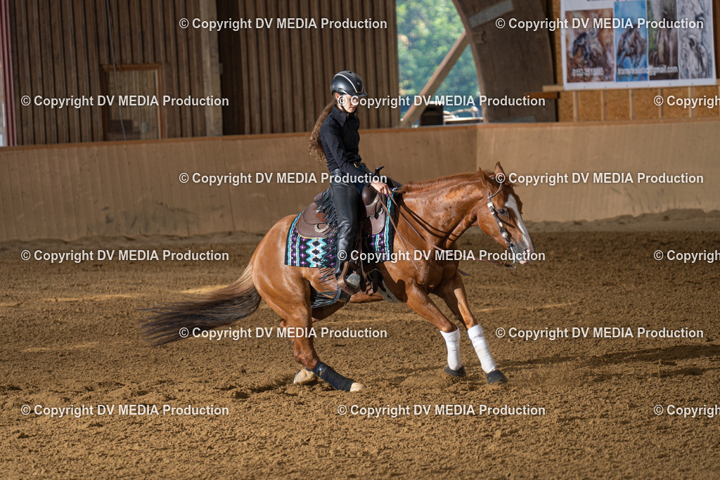 DSC00018 | dv-media-shop - Realisiert mit Pictrs.com