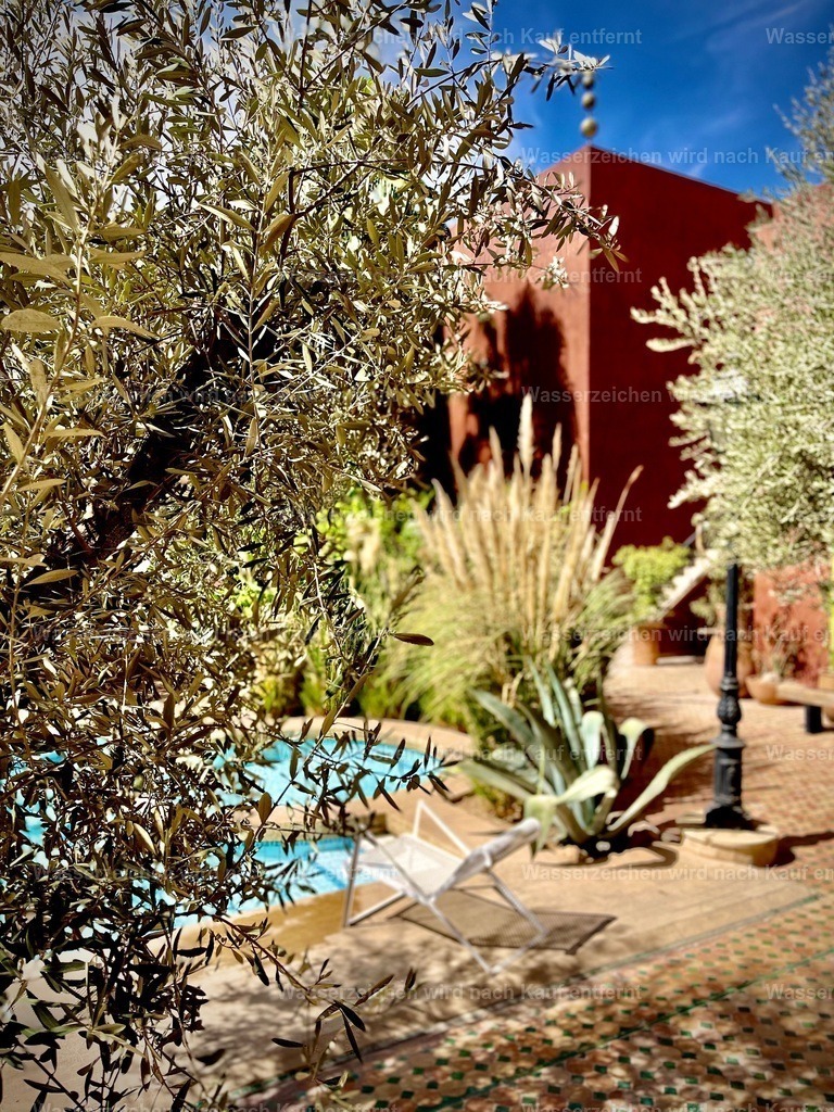 IMG_3248 | heikomoeller - Realisiert mit Pictrs.com