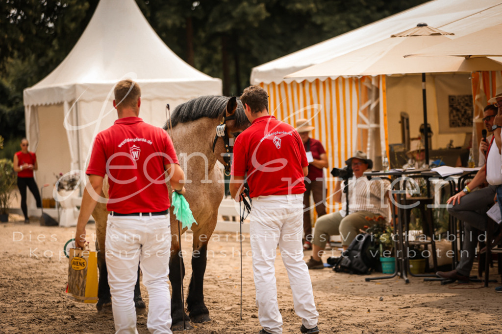 3.Sa00101 | Leoni Ertmer Photography - Realisiert mit Pictrs.com