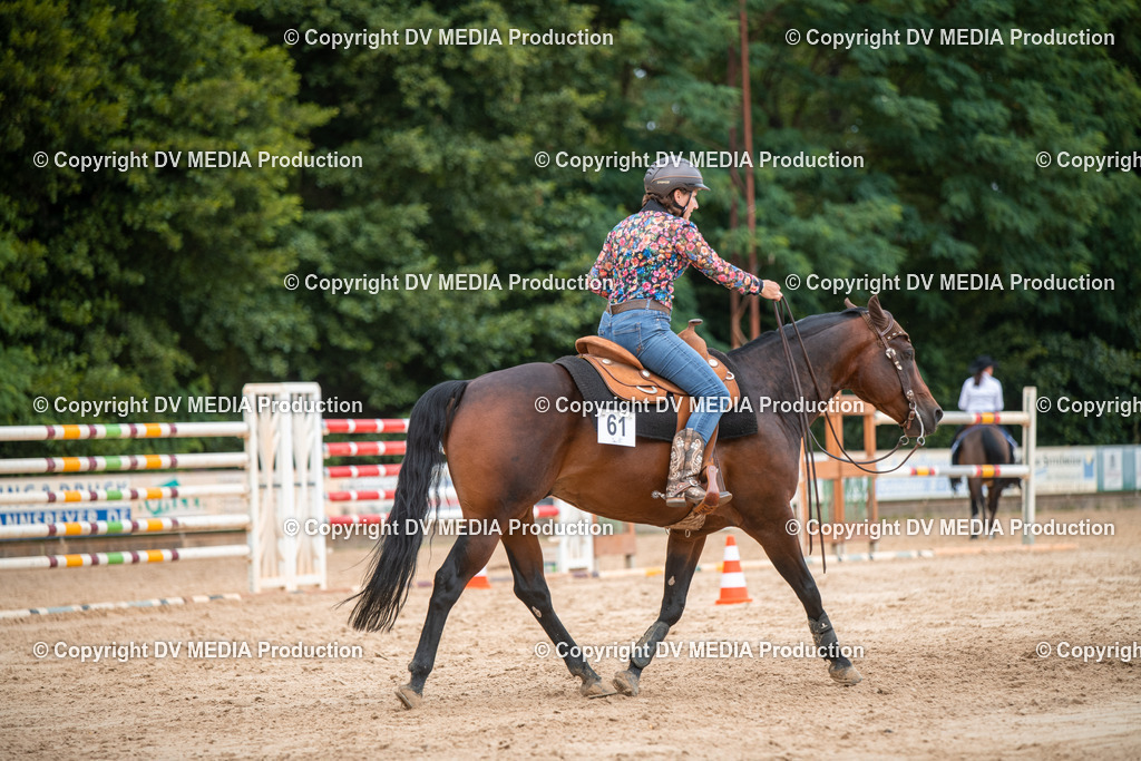 ZS2_8576 | dv-media-shop - Realisiert mit Pictrs.com