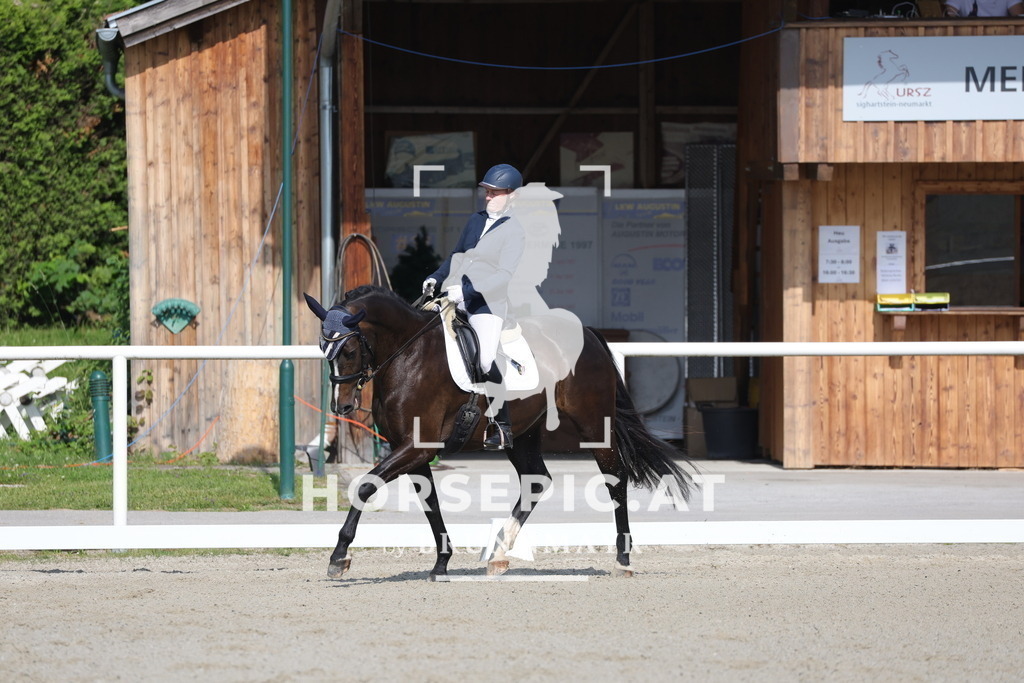 0P6A4539 | Willkommen bei Brunnmayr - Design & Fotografie – Ihrem Spezialisten für Reitturniere und Pferdeveranstaltungen in Oberösterreich, Salzburg und Bayern! Seit über 17 Jahren sind wir leidenschaftlich dabei.